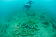 Osborne Reef: A Failed Artificial Reef Of Discarded Tires