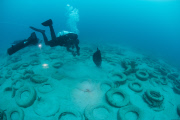 Osborne Reef: A Failed Artificial Reef Of Discarded Tires