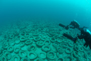 Osborne Reef: A Failed Artificial Reef Of Discarded Tires