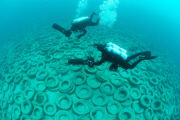 Osborne Reef: A Failed Artificial Reef Of Discarded Tires