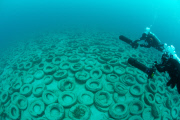 Osborne Reef: A Failed Artificial Reef Of Discarded Tires
