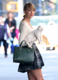 Taylor Swift Steps Out With A Kitten 
