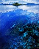 ZSL Animal Photography Prize 2014 winners revealed - 18 Sep 2014
