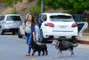 Mila Kunis and Ashton Have a Productive Sunday Getting Coffee, Walking the Dogs and Doing Brunch