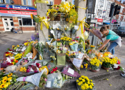 Alice Gross murder