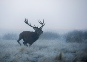 Cold and foggy weather, London, Britain - 05 Oct 2014