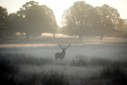 Cold and foggy weather, London, Britain - 05 Oct 2014