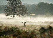 Cold and foggy weather, London, Britain - 05 Oct 2014