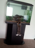 Cat Thieves That were Caught Red-Pawed