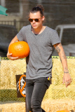 Harry Styles and his Pumpkin Lou Teasdale hit the patch