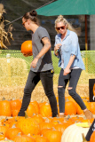 Harry Styles and his Pumpkin Lou Teasdale hit the patch