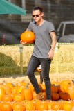 Harry Styles and his Pumpkin Lou Teasdale hit the patch