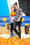 Harry Styles and his Pumpkin Lou Teasdale hit the patch