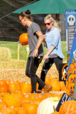 Harry Styles and his Pumpkin Lou Teasdale hit the patch
