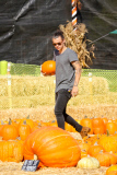 Harry Styles and his Pumpkin Lou Teasdale hit the patch