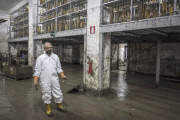 Flooding In Genoa, Italy - 14 Oct 2014