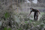 Indonesia: Mount Sinabung Volcano Erupts in Indonesia