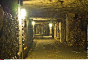 Paris: The Catacombs