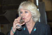 Camilla Duchess of Cornwall visits Chapel Down Winery, Tenterden, Kent, Britain - 15 Oct 2014