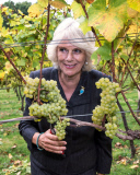 Camilla Duchess of Cornwall visits Chapel Down Winery, Tenterden, Kent, Britain - 15 Oct 2014