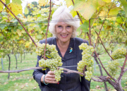 Camilla Duchess of Cornwall visits Chapel Down Winery, Tenterden, Kent, Britain - 15 Oct 2014