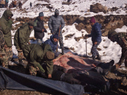 Fatal avalanche at the Thorong La Pass in Mustang, Nepal - 15 Oct 2014
