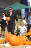 Robin Thicke picks a pumpkin with his son amidst divorce drama