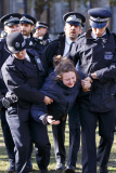 Police make arrests at Occupy London demonstration in Parliament Square, London, Britain - 21 Oct 2014
