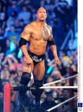 26th Annual Royal Rumble, US Airways Center, Phoenix, Arizona, America - 27 Jan 2013