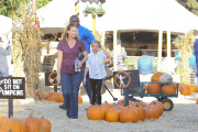 Heidi Klum¿s kids hit the pumpkin patch