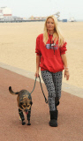 Poisoned dog who had two legs amputated gets prosthetic limbs, Great Yarmouth, Britain - 05 Sep 2014