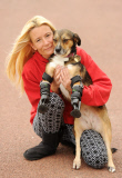 Poisoned dog who had two legs amputated gets prosthetic limbs, Great Yarmouth, Britain - 05 Sep 2014