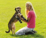 Poisoned dog who had two legs amputated gets prosthetic limbs, Great Yarmouth, Britain - 05 Sep 2014