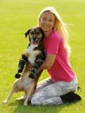 Poisoned dog who had two legs amputated gets prosthetic limbs, Great Yarmouth, Britain - 05 Sep 2014