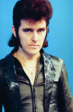 ALVIN STARDUST