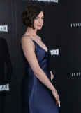 Interstellar Premiere at the Chinese Theatre in Los Angeles.