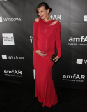amfAR Inspiration Gala, Los Angeles, America - 29 Oct 2014
