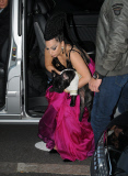 Lady Gaga surrounded by fans when leaving her hotel with her French Bulldog.