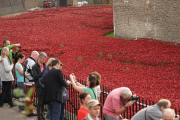 Blood Swept Lands installations attracts thousands? in London