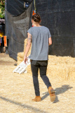 Harry Styles and his Pumpkin Lou Teasdale hit the patch