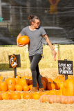 Harry Styles and his Pumpkin Lou Teasdale hit the patch