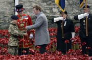 Armistice Day 2014