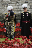 Armistice Day 2014