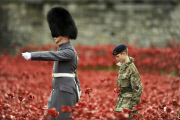 Armistice Day 2014