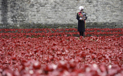 Armistice Day 2014