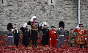 Armistice Day 2014
