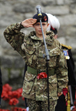 Armistice Day 2014