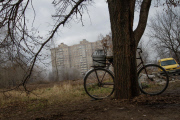 Separatists shell civilians, Avdiivka, Ukraine - 12 Nov 2014