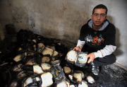 West Bank mosque set ablaze