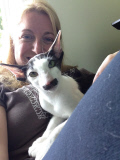 Stache the cat has facial markings that look like a moustache, New Jersey, America, August 2014